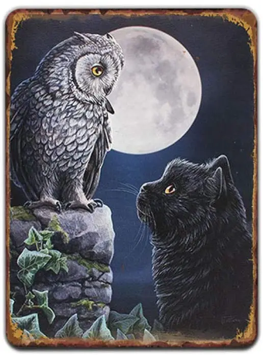 Tin Metal Signs Iron Painting Plaque Plate Owl Metal Sign Shabby Cat Animal Poster Art Beach Garden Farm Wall Home Decor Iron
Tin Metal Signs Iron Painting Plaque Plate Owl Metal Sign Shabby Cat Animal Poster Art Beach Garden Farm Wall Home Decor Iron
