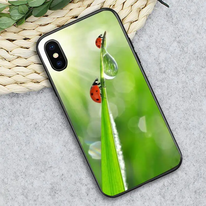 four leaf ladybug daisy Phone Case for iPhone 11 12 pro XS MAX 8 7 6 6S Plus X 5S SE 2020 XR mini
four leaf ladybug daisy Phone Case for iPhone 11 12 pro XS MAX 8 7 6 6S Plus X 5S SE 2020 XR mini