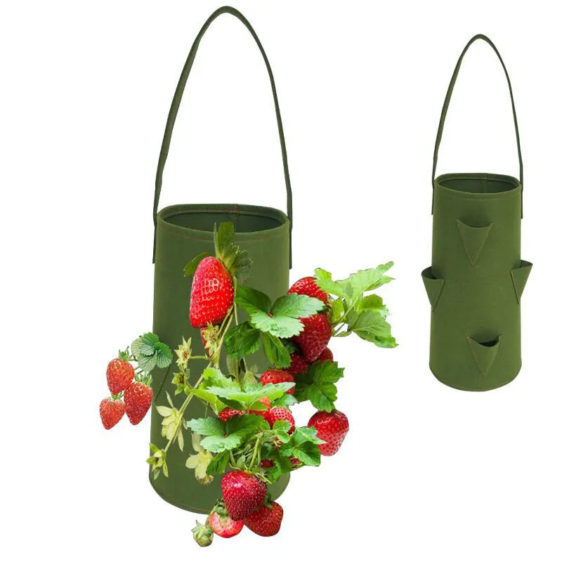 10 галлонов клубника посадка растут сумка садовая ящик для комнатных растений, растут мешок для картофеля томатов клубника, цветок травяной ...
10 галлонов клубника посадка растут сумка садовая ящик для комнатных растений, растут мешок для картофеля томатов клубника, цветок травяной ...