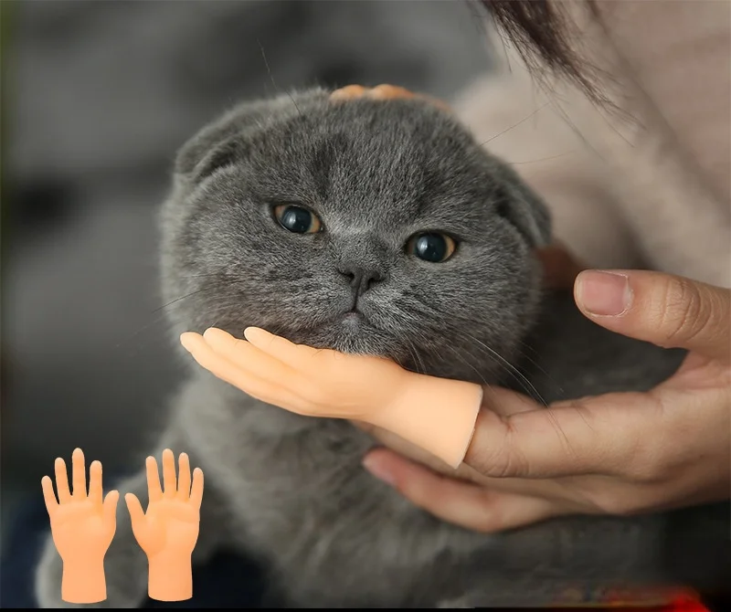 Finger Toys, Funny Cats, Plastic Gloves, Funny Creative Toys, Left and Right Hand Model Lucky Cat Cat Toy Cat Accessories Pet
Finger Toys, Funny Cats, Plastic Gloves, Funny Creative Toys, Left and Right Hand Model Lucky Cat Cat Toy Cat Accessories Pet