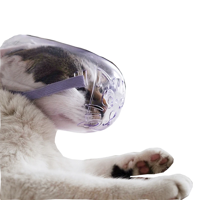 Cat Eye Mask Transparent Kitty Bite-Proof Headgear Cat Collar High-Quality Material Hollow Design Spring Clasp Purple 2021 New
Cat Eye Mask Transparent Kitty Bite-Proof Headgear Cat Collar High-Quality Material Hollow Design Spring Clasp Purple 2021 New