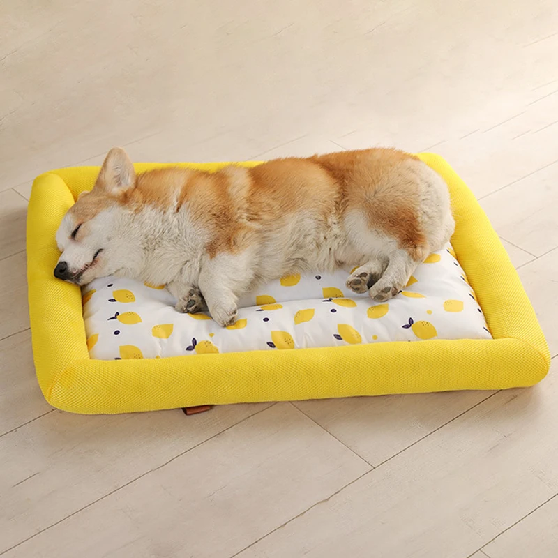 Summer Pet Dog Mat Ice Silk Pad Breathable Cooling Sofa Kitten Pad Puppy Sleeping Cushion Dogs Cats Cool Cold Bed Pet Supplies
Summer Pet Dog Mat Ice Silk Pad Breathable Cooling Sofa Kitten Pad Puppy Sleeping Cushion Dogs Cats Cool Cold Bed Pet Supplies