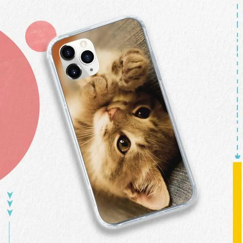 cute cat funny cover high quality fundas Phone Case for iPhone 11 12 pro XS MAX 8 7 6 6S Plus X 5S SE 2020 XR
cute cat funny cover high quality fundas Phone Case for iPhone 11 12 pro XS MAX 8 7 6 6S Plus X 5S SE 2020 XR