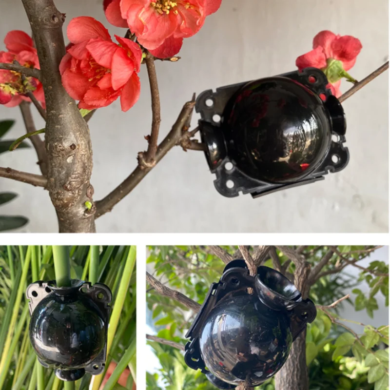 Practical Plant high-pressure propagation box Garden plant high-pressure box propagation ball Cutting rooting grafting device
Practical Plant high-pressure propagation box Garden plant high-pressure box propagation ball Cutting rooting grafting device