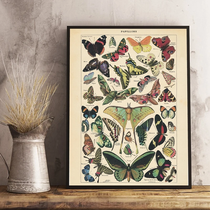 Antique Butterfly Vintage Poster Prints Insect Kind Nature Education Wall Art Canvas Painting Picture Kids Room Home Wall Decor
Antique Butterfly Vintage Poster Prints Insect Kind Nature Education Wall Art Canvas Painting Picture Kids Room Home Wall Decor