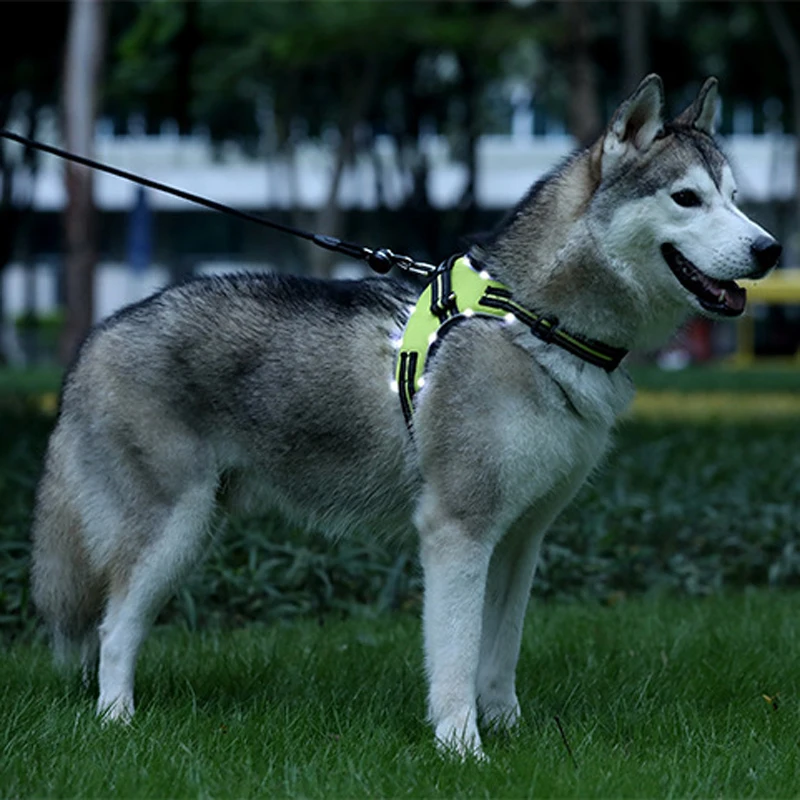Rechargeable LED Harness for Pets Dog Tailup Nylon Led Flashing Light Safety Dog Harness Collar Leash Belt Dog Accessories
Rechargeable LED Harness for Pets Dog Tailup Nylon Led Flashing Light Safety Dog Harness Collar Leash Belt Dog Accessories