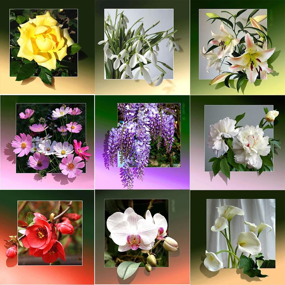 5D DIY Diamond Painting Three-dimensional Flower Square/Round Rhinestone Inlaid Mosaic Cross Stitch Landscape Home Decoration
5D DIY Diamond Painting Three-dimensional Flower Square/Round Rhinestone Inlaid Mosaic Cross Stitch Landscape Home Decoration
