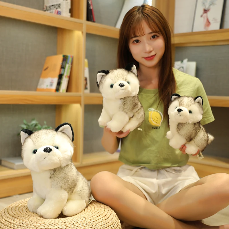 lovely cartoon husky dog plush toy kids soothing dolls children soft toy birthday gift b2796
lovely cartoon husky dog plush toy kids soothing dolls children soft toy birthday gift b2796