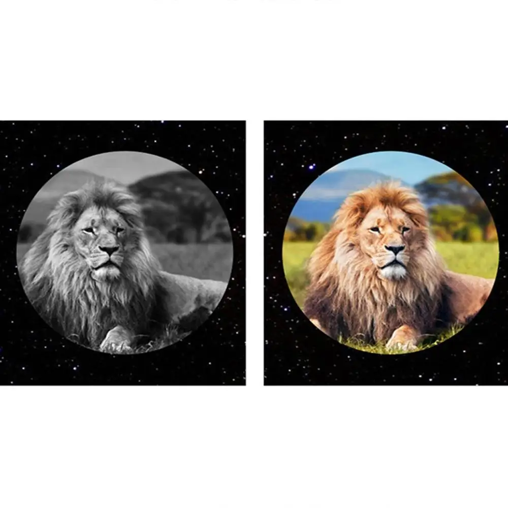 Infrared Digital Night Telescope High Magnification with Video Photograph Function for Sightseeing
Infrared Digital Night Telescope High Magnification with Video Photograph Function for Sightseeing