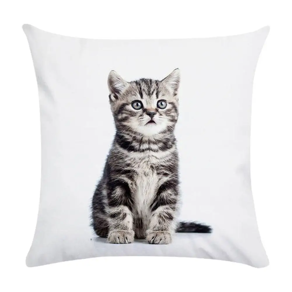 Cute Kitten Pattern Cat Creative Fashion Peach Skin Pillow Covers Decorative Household Supplies 45x45cm Cushion Cover
Cute Kitten Pattern Cat Creative Fashion Peach Skin Pillow Covers Decorative Household Supplies 45x45cm Cushion Cover