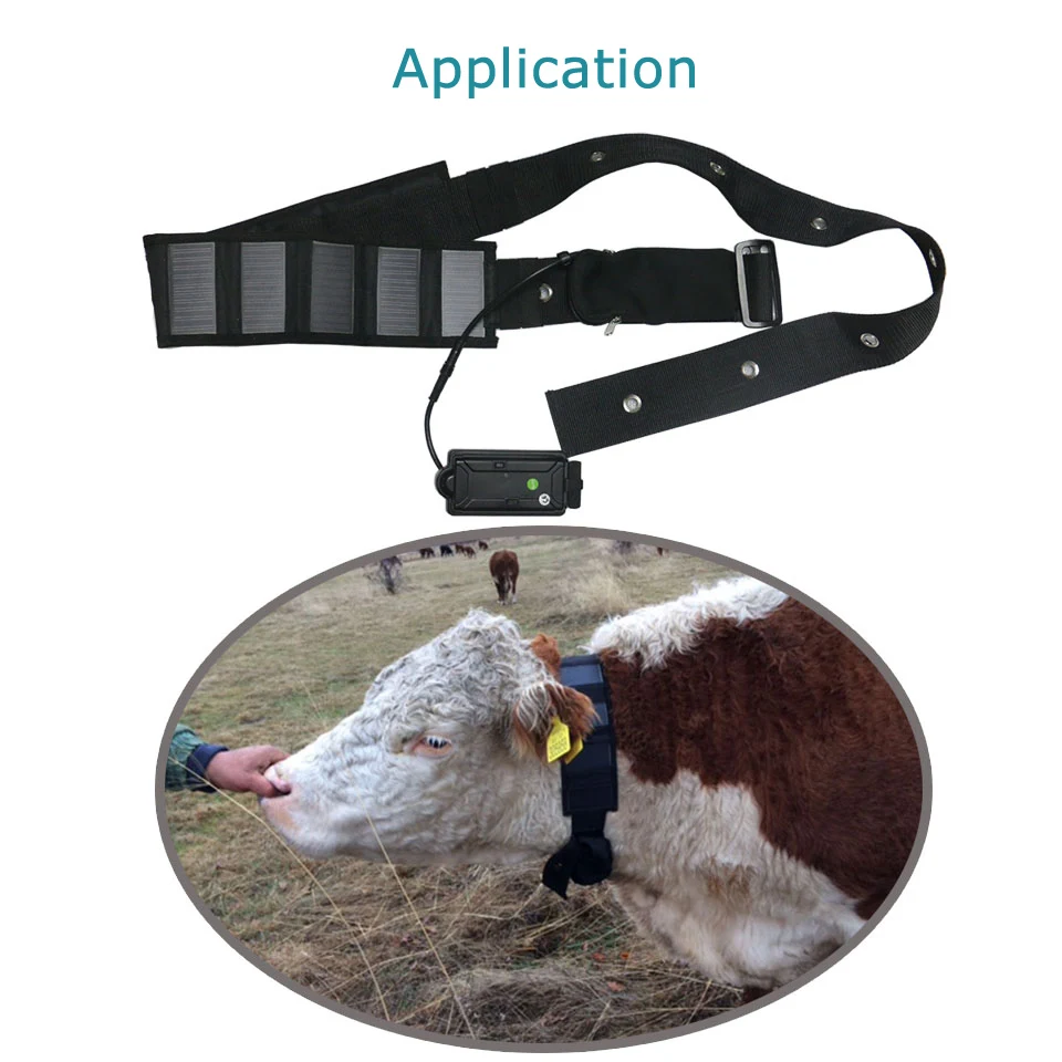 GPS Locator T500S 5000mAh Tracker for Big Pet Animals Horse GPS tracking device Solar Collar Cow GPS Tracker for Farm Management
GPS Locator T500S 5000mAh Tracker for Big Pet Animals Horse GPS tracking device Solar Collar Cow GPS Tracker for Farm Management