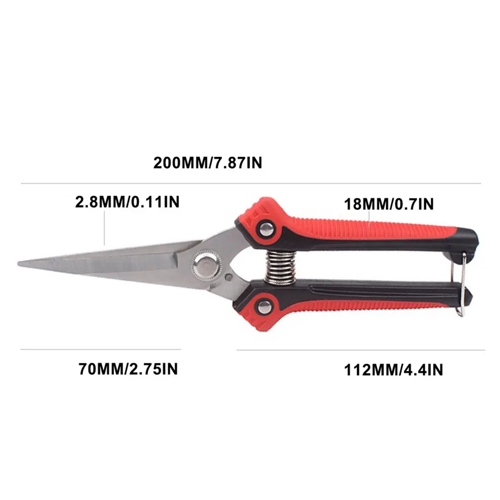 Stainless Steel Pointed Orchard Fruit Picking Shears Fruit Picking Scissors Pruning Shears Garden Scissor
Stainless Steel Pointed Orchard Fruit Picking Shears Fruit Picking Scissors Pruning Shears Garden Scissor