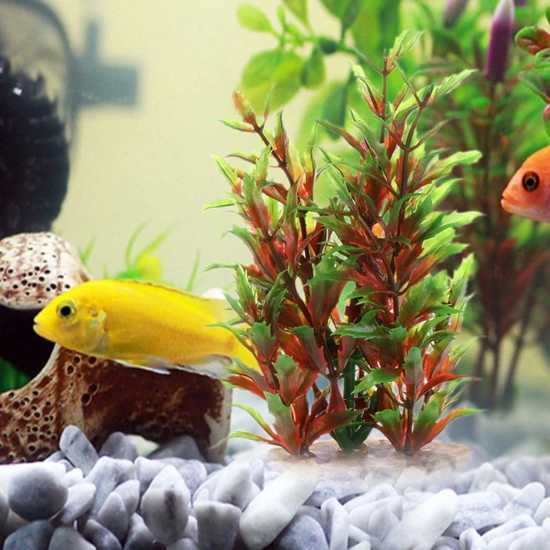 Aquatic Plants Vivid Colorful Ornament Fish Tank Aquarium Underwater Decoration
Aquatic Plants Vivid Colorful Ornament Fish Tank Aquarium Underwater Decoration