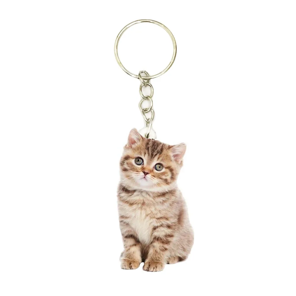 Baby Home Cat Acrylic Home Cat Keyring Animal Cats Stainless Steel Keychain Men Car Key Chain Ring Gift Gifts for Women Keyring
Baby Home Cat Acrylic Home Cat Keyring Animal Cats Stainless Steel Keychain Men Car Key Chain Ring Gift Gifts for Women Keyring