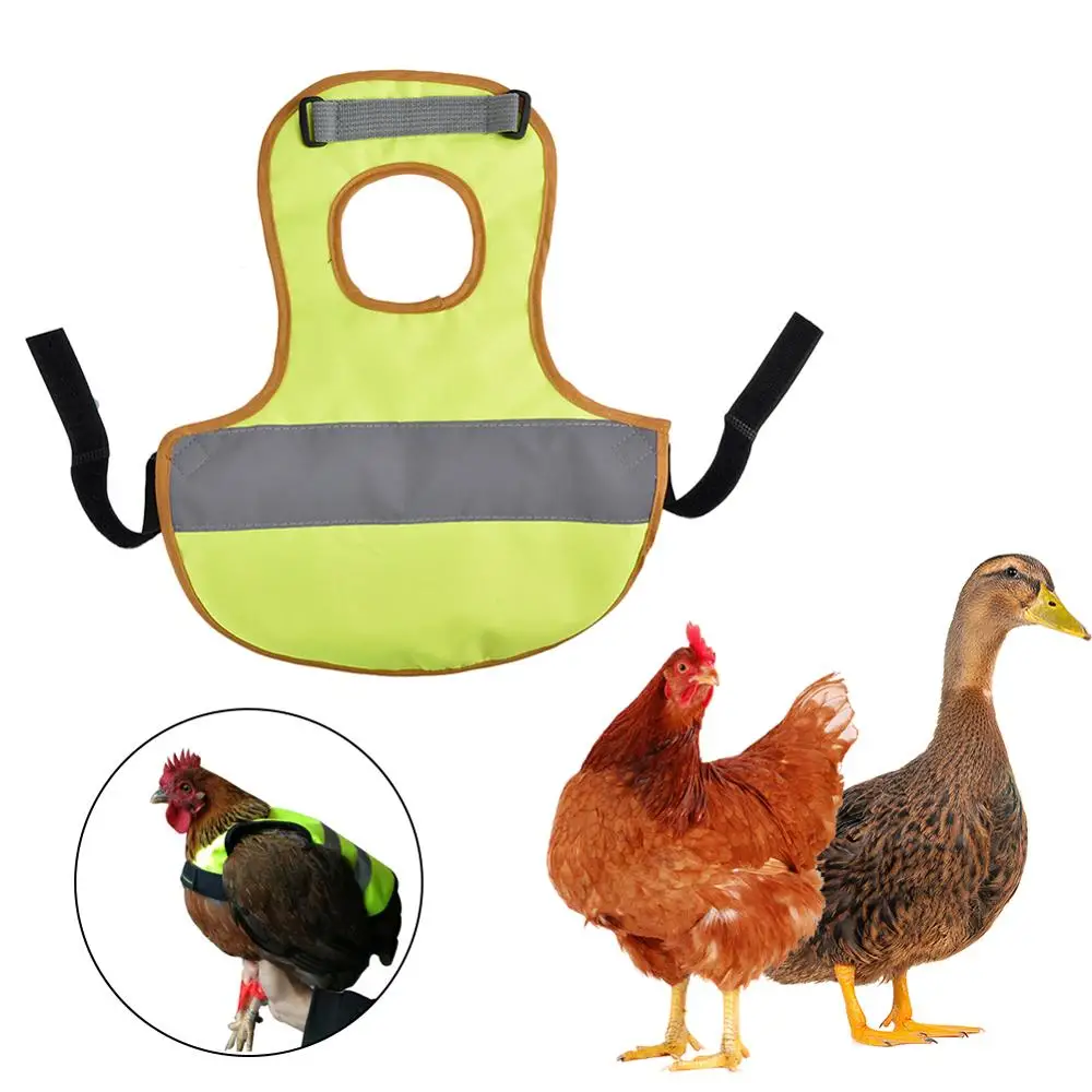 Adjustable Pet Reflective Vest Chicken Clothes Feather Protection Rack Chicken Duck Poultry, Chicken Apron Clothes
Adjustable Pet Reflective Vest Chicken Clothes Feather Protection Rack Chicken Duck Poultry, Chicken Apron Clothes