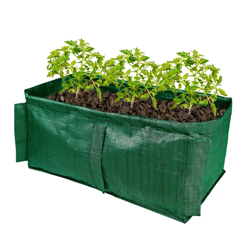 Rectangle Grow Bags Green Planting Bag for Vegetables Plant Flowers Growing Breathable and Waterproof Outdoor Planter
Rectangle Grow Bags Green Planting Bag for Vegetables Plant Flowers Growing Breathable and Waterproof Outdoor Planter