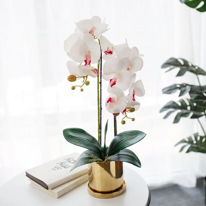 Home Decoration Simulation Phalaenopsis Suit Bonsai Artificial Flower High Grade Nordic Table Flower Potted Plant+Vase +Leaf
Home Decoration Simulation Phalaenopsis Suit Bonsai Artificial Flower High Grade Nordic Table Flower Potted Plant+Vase +Leaf