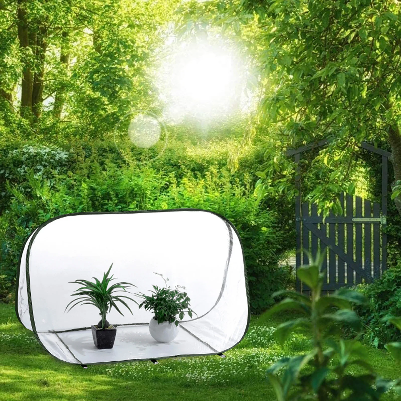 NEW Portable Mini Pop-up Greenhouse Plant Overwintering Tent Winter Protection Home Greenhouse Ventilated Plant Insulation
NEW Portable Mini Pop-up Greenhouse Plant Overwintering Tent Winter Protection Home Greenhouse Ventilated Plant Insulation