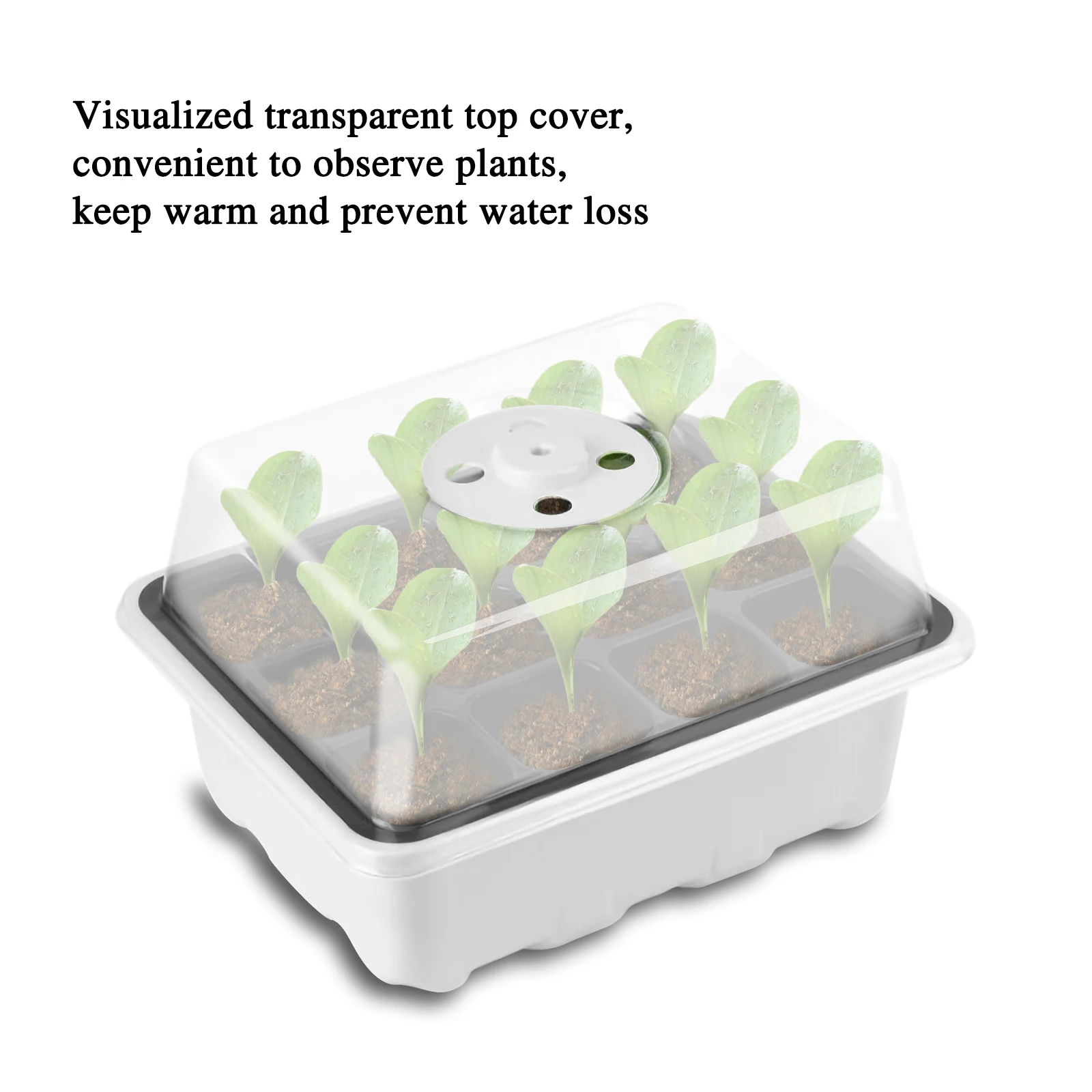 Seedling Plant Nursery Box Garden Gardening Flower Pot Germination Growth Starter Jardin Seeds Nursery Tray
Seedling Plant Nursery Box Garden Gardening Flower Pot Germination Growth Starter Jardin Seeds Nursery Tray