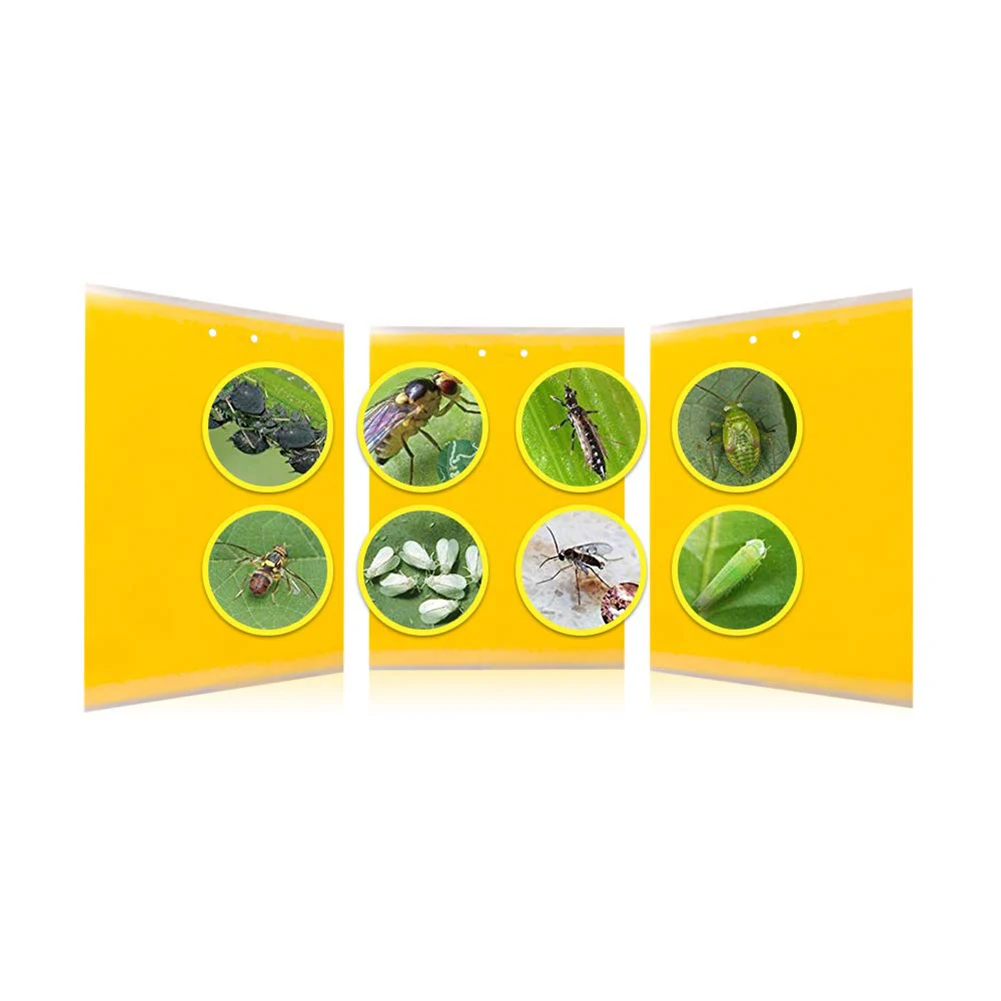 10pcs Yellow Strong Flies Sticky Traps Bugs Flying Traps Catching Aphid Pest Killer Outdoor for Fruit Fly Fungus Insects Double
10pcs Yellow Strong Flies Sticky Traps Bugs Flying Traps Catching Aphid Pest Killer Outdoor for Fruit Fly Fungus Insects Double