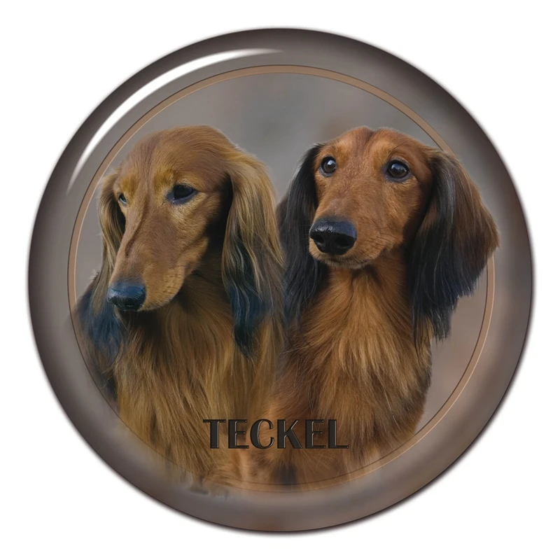 A0660# Various Sizes Removable Decal Teckel Breed Dog V7 Car Sticker Waterproof on Bumper Rear Window Laptop
A0660# Various Sizes Removable Decal Teckel Breed Dog V7 Car Sticker Waterproof on Bumper Rear Window Laptop