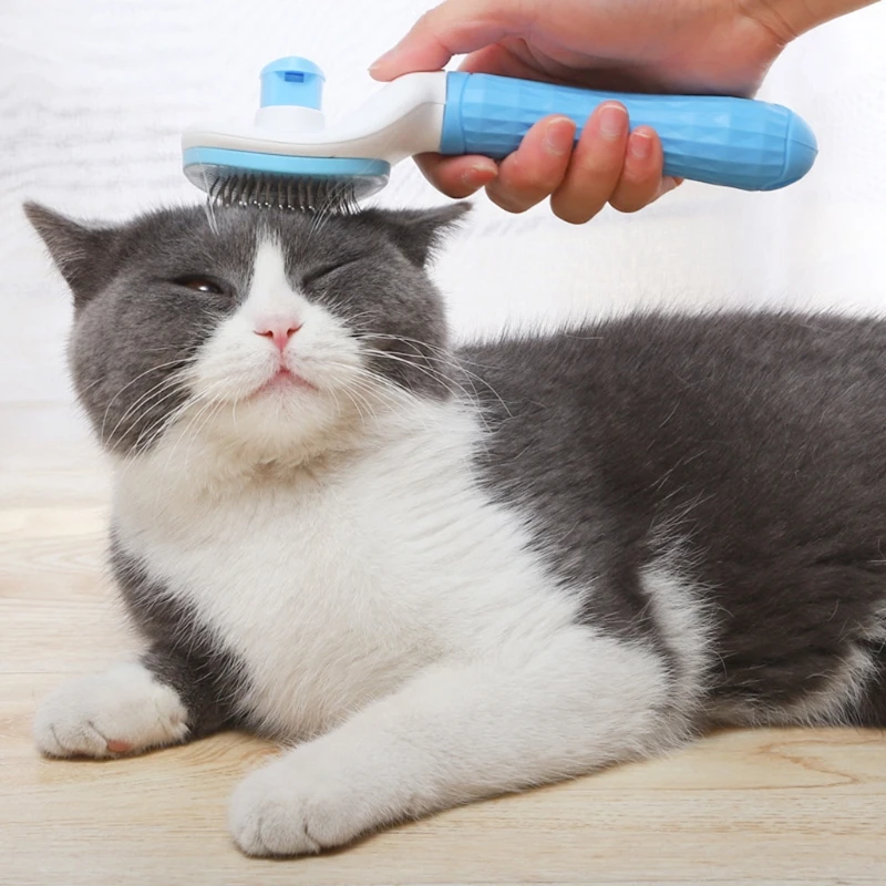 Pet Grooming Brush Stainless Steel for remove Loose Hair Self Cleaning Supplies Grooming Massage Tool
Pet Grooming Brush Stainless Steel for remove Loose Hair Self Cleaning Supplies Grooming Massage Tool