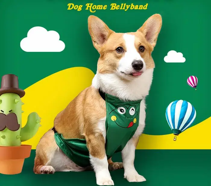 Cartoon Frog Design Waterproof Polyester Dog's Warm Bellyband Dirt Resistant Corgi Clothes Female Male Pet Dog Supplies ZA388
Cartoon Frog Design Waterproof Polyester Dog's Warm Bellyband Dirt Resistant Corgi Clothes Female Male Pet Dog Supplies ZA388