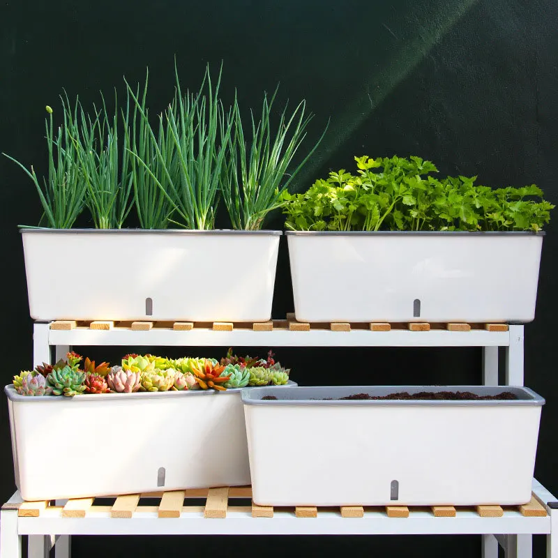Self-Watering Planter Pots Long Strip Double Layer Flower Pot for Indoor Home Garden Modern Decorative JS23
Self-Watering Planter Pots Long Strip Double Layer Flower Pot for Indoor Home Garden Modern Decorative JS23