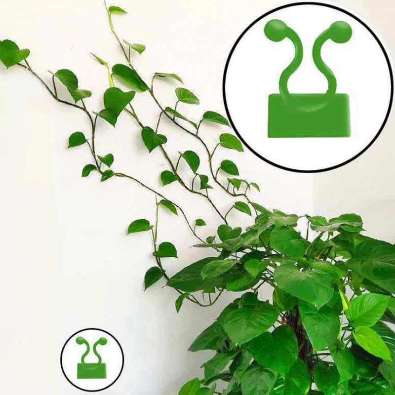 Plant climbing wall Self-Adhesive Fastener Tied fixture Vine Buckle Hook Garden plant wall climbing Vine Clips Fixed Buckle Hook
Plant climbing wall Self-Adhesive Fastener Tied fixture Vine Buckle Hook Garden plant wall climbing Vine Clips Fixed Buckle Hook