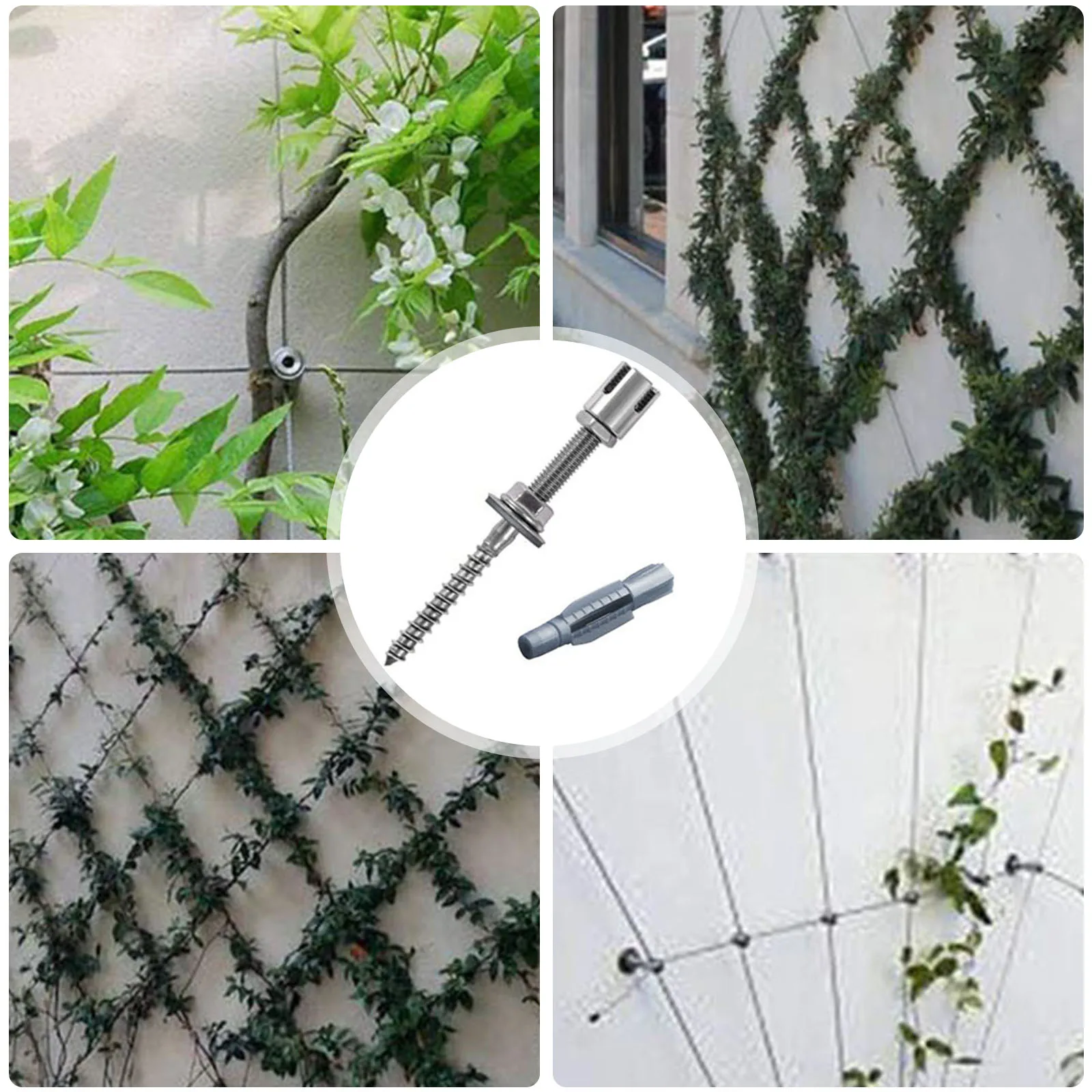 Stainless Steel Trellis Plant Climbing Green Wall Mesh Professional Complete 8 Halter 12 m Wire Rope Mesh for Plant Climbing Kit
Stainless Steel Trellis Plant Climbing Green Wall Mesh Professional Complete 8 Halter 12 m Wire Rope Mesh for Plant Climbing Kit