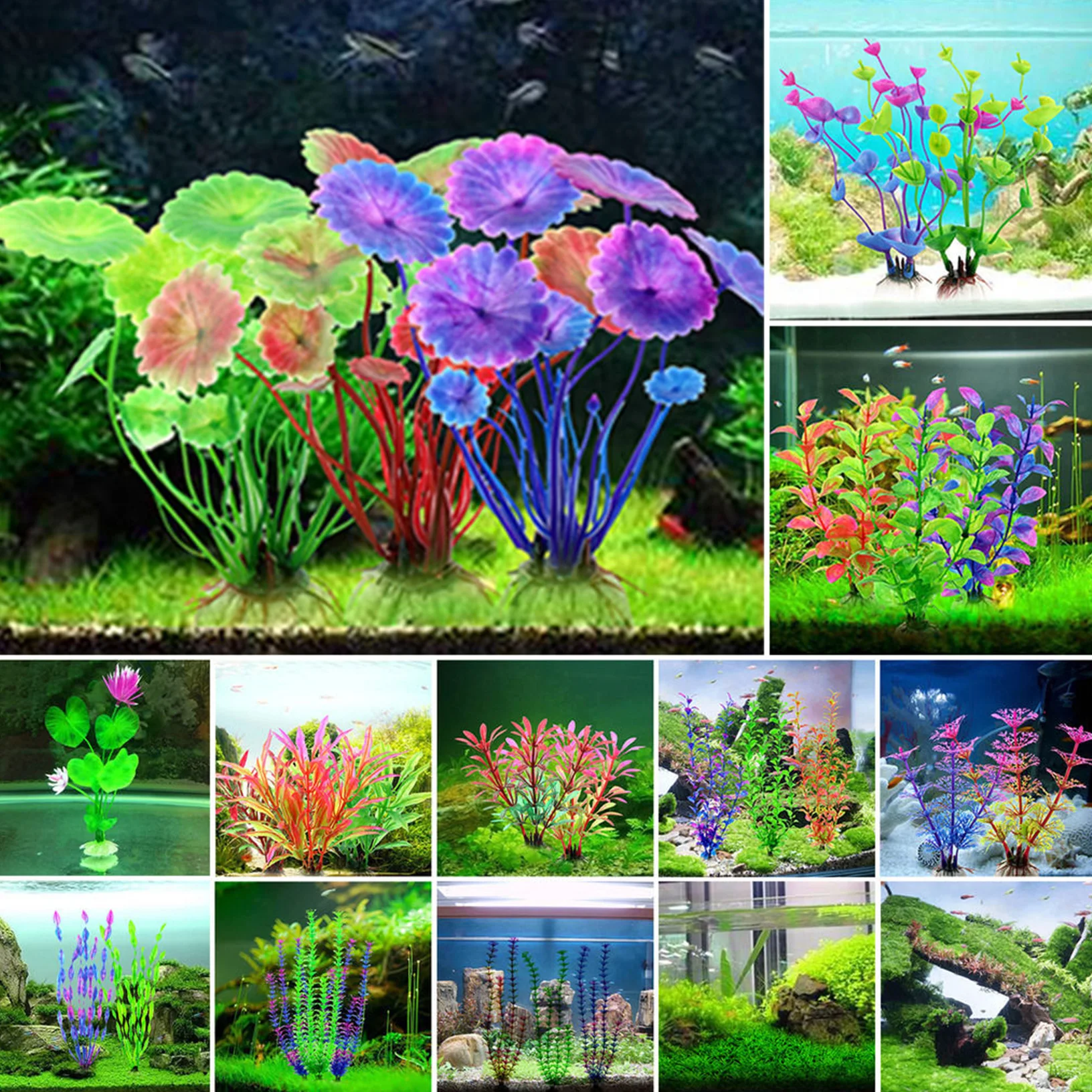 10PCS PVC Fish Tank Decoration Simulation Artificial Trumpet Environmental Aquarium Accessories Simulation Fake Aquatic Plants
10PCS PVC Fish Tank Decoration Simulation Artificial Trumpet Environmental Aquarium Accessories Simulation Fake Aquatic Plants