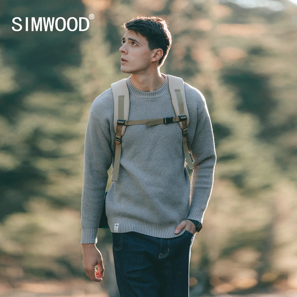 SIMWOOD 2022 весенне-Зимний новый плотный мужской свитер большого размера с вафельным