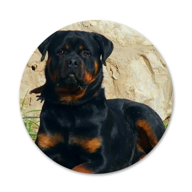 58mm Rottweiler Puppies Dog Icons Pins Badge Decoration Brooches Metal Badges For Backpack Decoration
58mm Rottweiler Puppies Dog Icons Pins Badge Decoration Brooches Metal Badges For Backpack Decoration