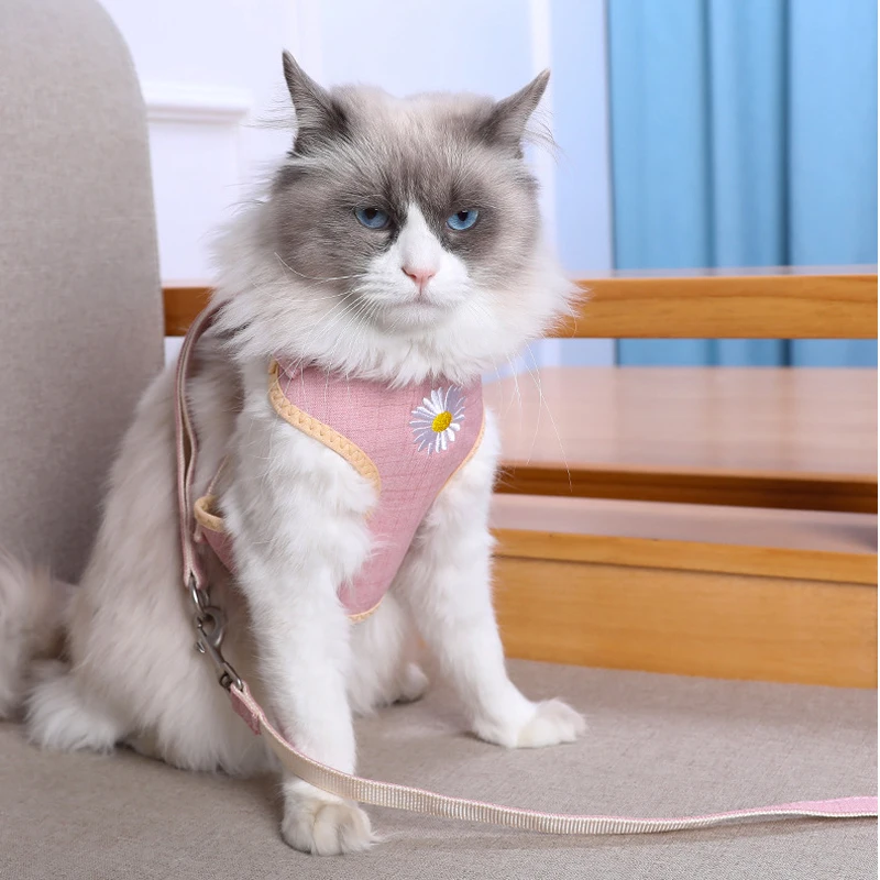 Cat Lead Leash Vest Sling Adjustable Wearable Pet Chest Strap Collar For Pet Cat Dog Outdoor Supplies Accessories
Cat Lead Leash Vest Sling Adjustable Wearable Pet Chest Strap Collar For Pet Cat Dog Outdoor Supplies Accessories