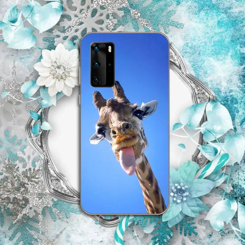Zebra Giraffe cute animal Phone Case Transparent for Huawei P honor 8 10i 20 30 40 smart 2019
Zebra Giraffe cute animal Phone Case Transparent for Huawei P honor 8 10i 20 30 40 smart 2019