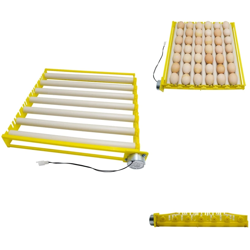 Hot Roller Egg Tray High Quality Incubator Accessories Durable Rotary Automatic Roller Pattern Turner Tray
Hot Roller Egg Tray High Quality Incubator Accessories Durable Rotary Automatic Roller Pattern Turner Tray