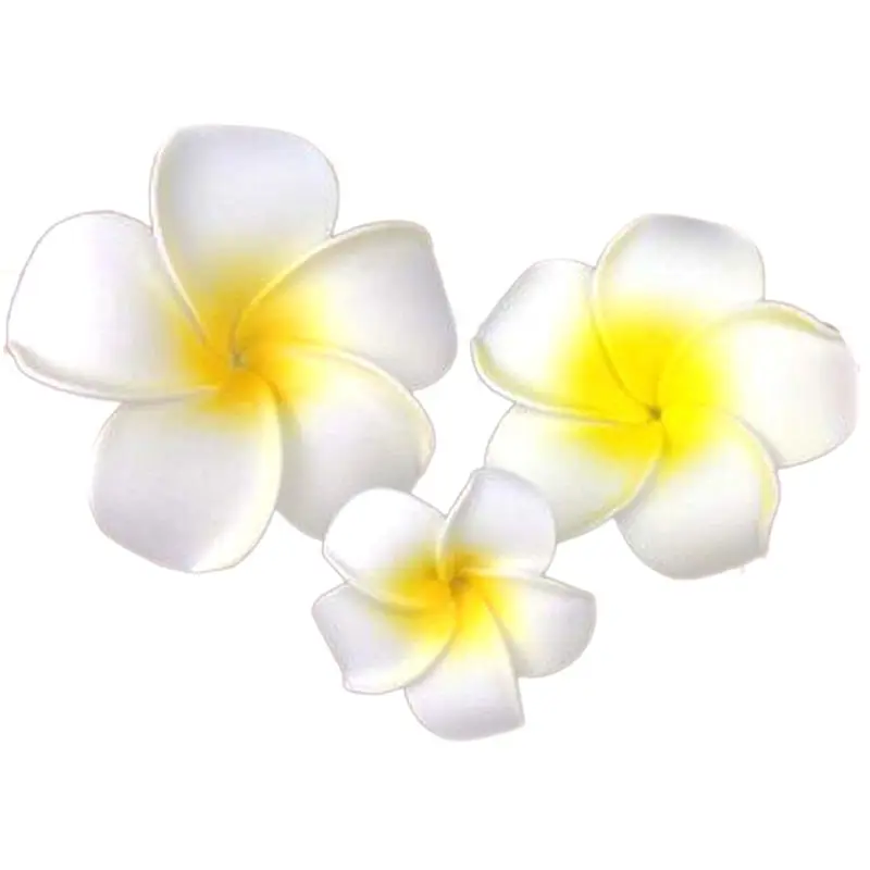 

3 Pcs Hawaiian Plumeria Flower Headpiece Hairpin Barrette Hair Clip Accessory Fancy Dress for wedding