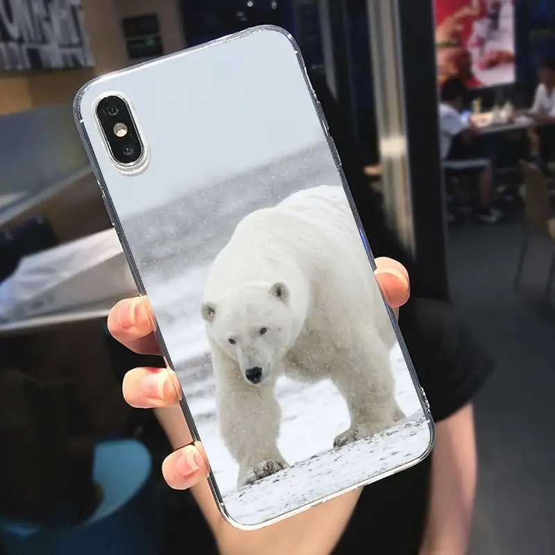 Arctic Cute animal Polar bear Phone Case Transparent soft For iphone 5 5s 5c se 6 6s 7 8 11 12 plus mini x xs xr pro max
Arctic Cute animal Polar bear Phone Case Transparent soft For iphone 5 5s 5c se 6 6s 7 8 11 12 plus mini x xs xr pro max