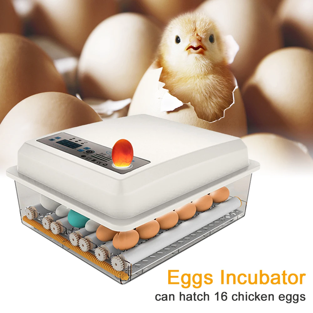 Hatching Digital Display Automatic Turning Goose Quail Farm Animals Low Noise ABS Chicken Multifunction For Home Eggs Incubator
Hatching Digital Display Automatic Turning Goose Quail Farm Animals Low Noise ABS Chicken Multifunction For Home Eggs Incubator