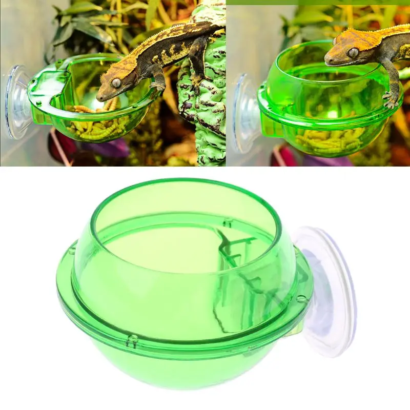 Reptile Anti-escape Food Bowl Cup Turtle Lizard Worm Live Food Container D7WE
Reptile Anti-escape Food Bowl Cup Turtle Lizard Worm Live Food Container D7WE