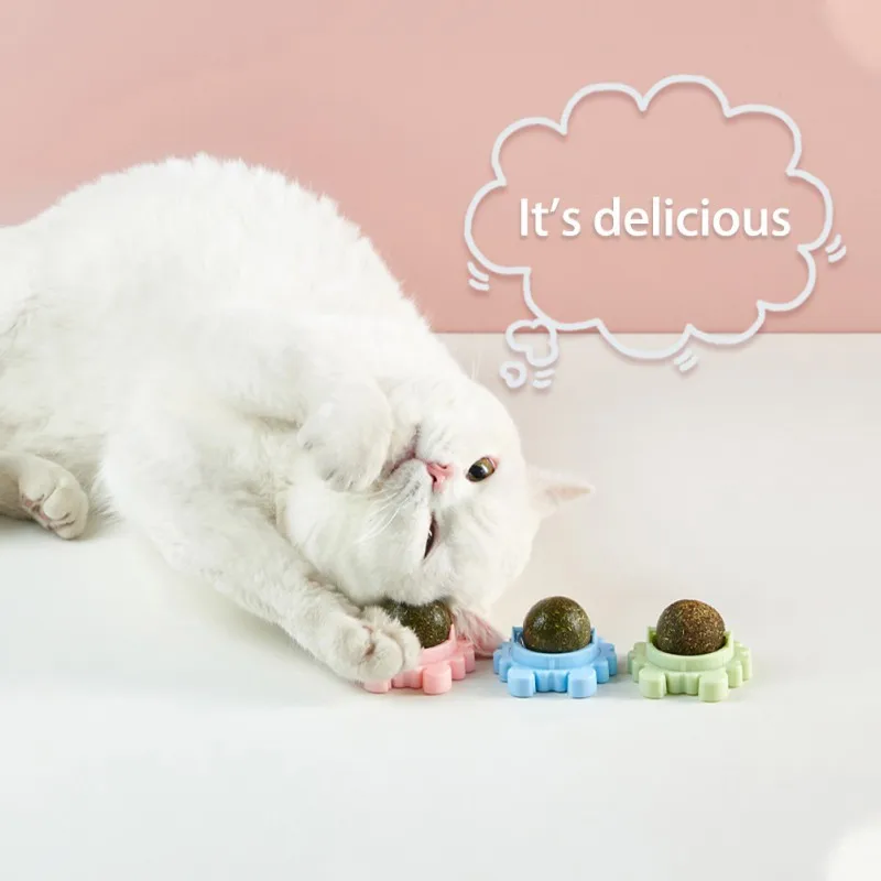 Pure Natural Catnip Ball Toy Catnip Cat Toy Interactive Indoor Cat Ball Toy Ball Green Cleanning Tooth Toy
Pure Natural Catnip Ball Toy Catnip Cat Toy Interactive Indoor Cat Ball Toy Ball Green Cleanning Tooth Toy