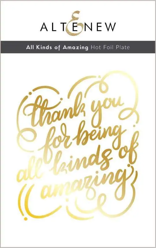 All Kinds of Amazing Hot Foil Plate Word Bundle Scrapbooking DIY For Embossing Template Make Card Album Diary Supplie 2021 New
All Kinds of Amazing Hot Foil Plate Word Bundle Scrapbooking DIY For Embossing Template Make Card Album Diary Supplie 2021 New