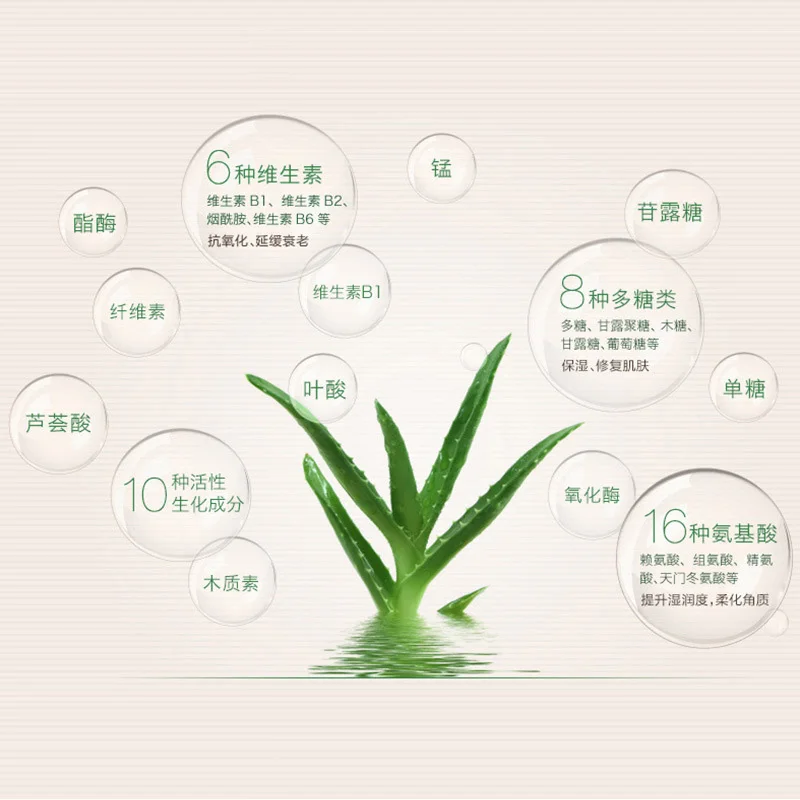 Waterproof 99% Aloe Vera Moisturizer Face Powder Smoothing Pressed Powder Breathable Makeup Concealer Brighten Foundation
Waterproof 99% Aloe Vera Moisturizer Face Powder Smoothing Pressed Powder Breathable Makeup Concealer Brighten Foundation
