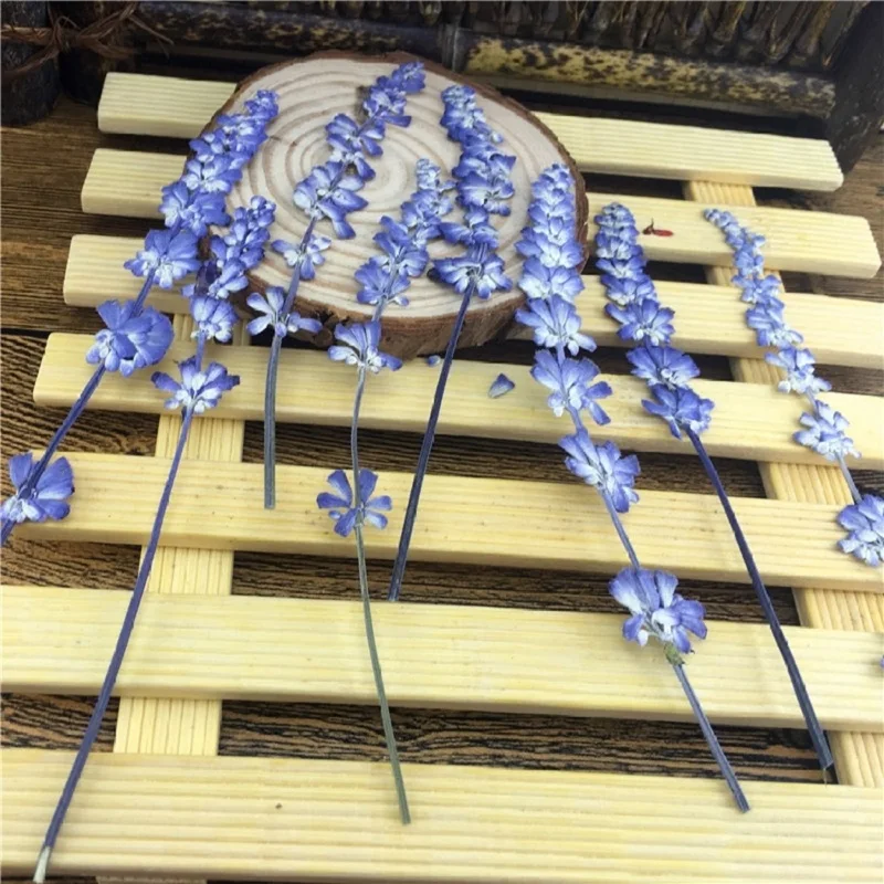 Pressed Dried Lavender Flower Plants Herbarium For Epoxy Resin Jewelry Making Bookmark Phone case Face Makeup Nail Art DIY 
Pressed Dried Lavender Flower Plants Herbarium For Epoxy Resin Jewelry Making Bookmark Phone case Face Makeup Nail Art DIY