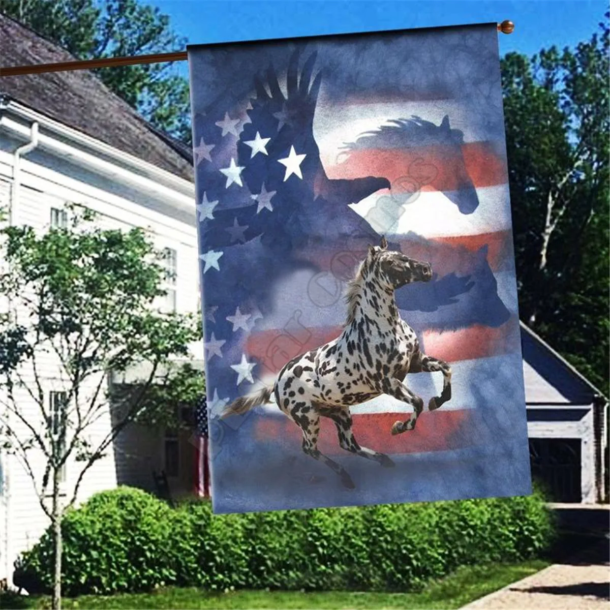 Appaloosa Flag 3D Full Printing Thermal Transfer Garden Flags Hanging House Decoration Double-sided Printing 02 
Appaloosa Flag 3D Full Printing Thermal Transfer Garden Flags Hanging House Decoration Double-sided Printing 02