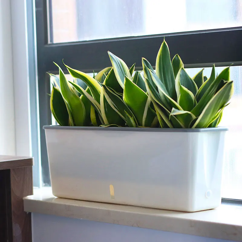 Self-Watering Planter Pots Long Strip Double Layer Flower Pot for Indoor Home Garden Modern Decorative MJJ88
Self-Watering Planter Pots Long Strip Double Layer Flower Pot for Indoor Home Garden Modern Decorative MJJ88