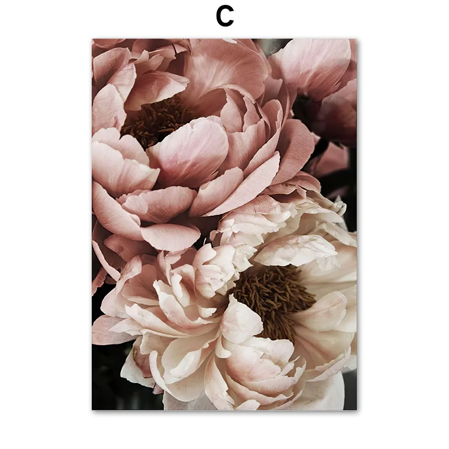 Big Rose Peony Peach Blossom Magnolia Wall Art Canvas Painting Nordic Posters And Prints Wall Pictures For Living Room Salon
Big Rose Peony Peach Blossom Magnolia Wall Art Canvas Painting Nordic Posters And Prints Wall Pictures For Living Room Salon