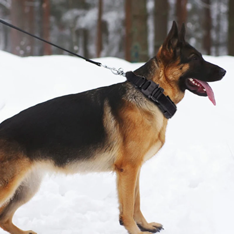 Военный Тактический ошейник для собак, немецкий ошейник среднего размера для ходьбы, тренировочный двойной ошейник для собак, ручка управл...
Военный Тактический ошейник для собак, немецкий ошейник среднего размера для ходьбы, тренировочный двойной ошейник для собак, ручка управл...