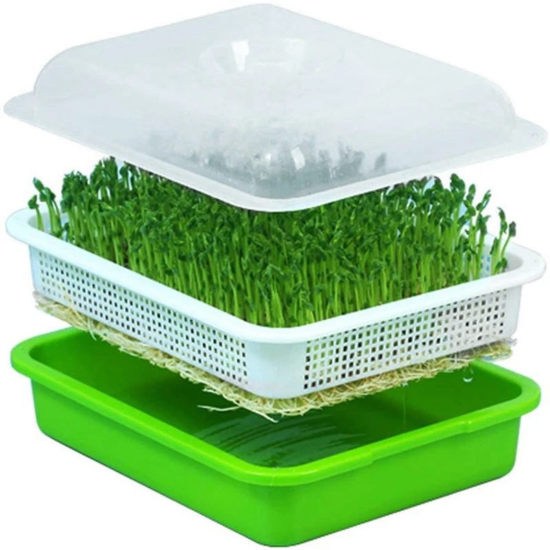 New Seed Sprouter Tray with Lid BPA Free Bean Sprout Grower Sprouting Seeds Tray, Dirt Free Way and Big Capacity
New Seed Sprouter Tray with Lid BPA Free Bean Sprout Grower Sprouting Seeds Tray, Dirt Free Way and Big Capacity