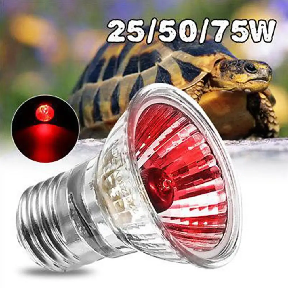 25/50/75W UVB Reptile Lamp Bulb Turtle Basking UV Light Bulbs Heating Lamp Amphibians Temperature Controller
25/50/75W UVB Reptile Lamp Bulb Turtle Basking UV Light Bulbs Heating Lamp Amphibians Temperature Controller